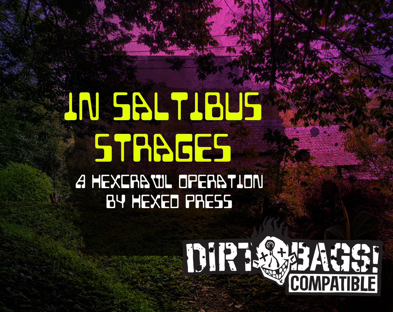 Cover image for In Saltibus Strages