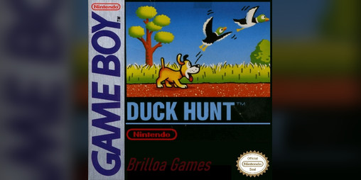 Cover image for Duck Hunt GB