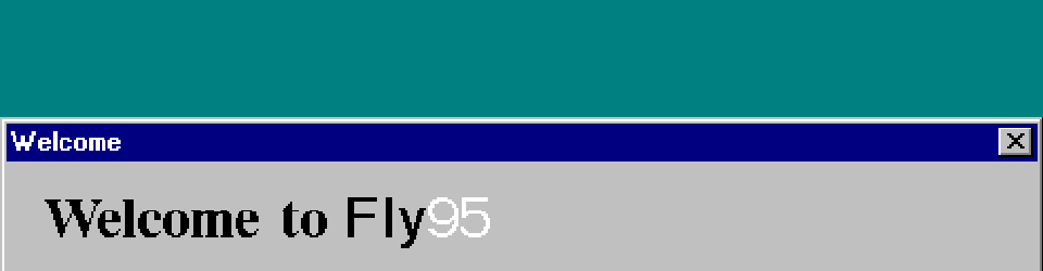 Fly95