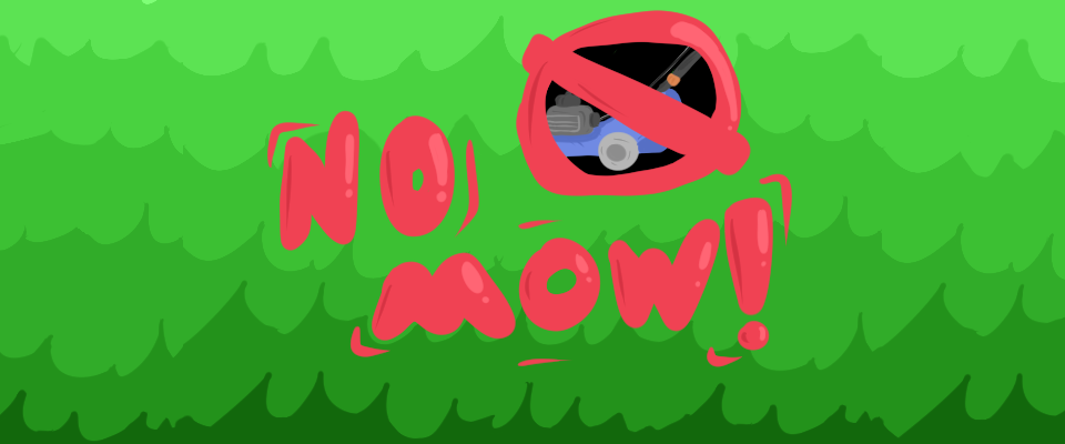 No Mow!