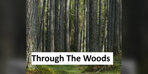 Cover image for Through the Woods