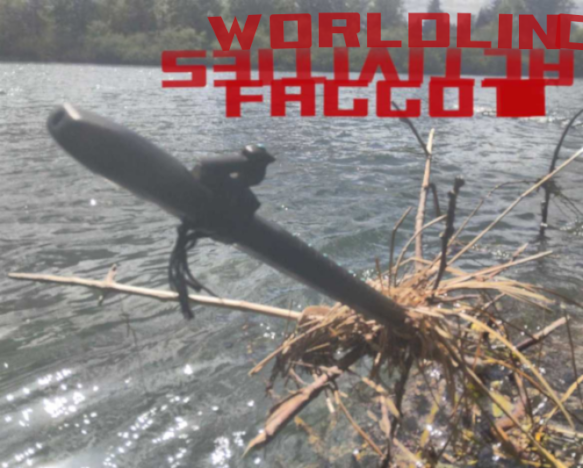 Cover image for worldlinɡ sǝᴉʇᴉʌᴉʇɔɒ faggot