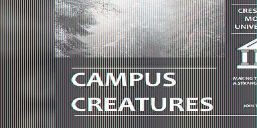 Cover image for Campus Creatures