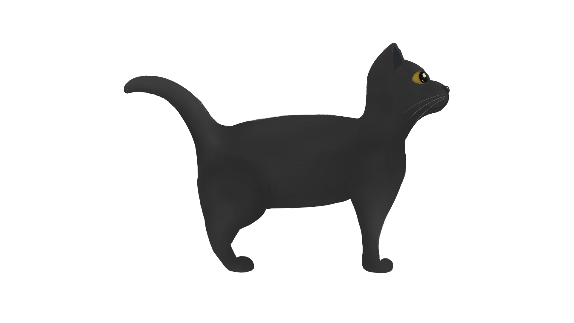 Roller Skating Cat