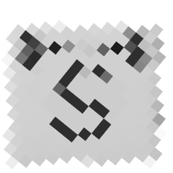Sapocalypse