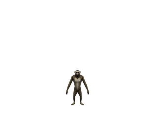 Monkey Business