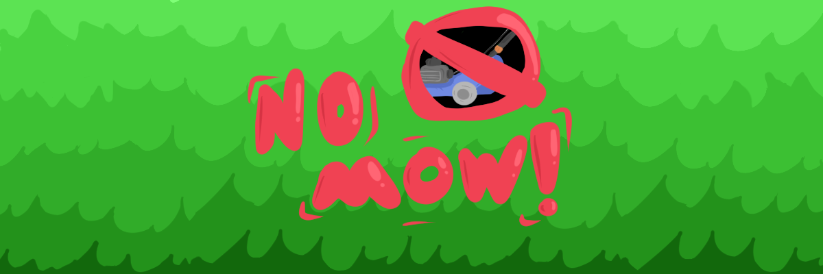No Mow
