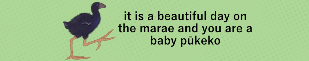 it is a beautiful day on the marae and you are a baby pūkeko
