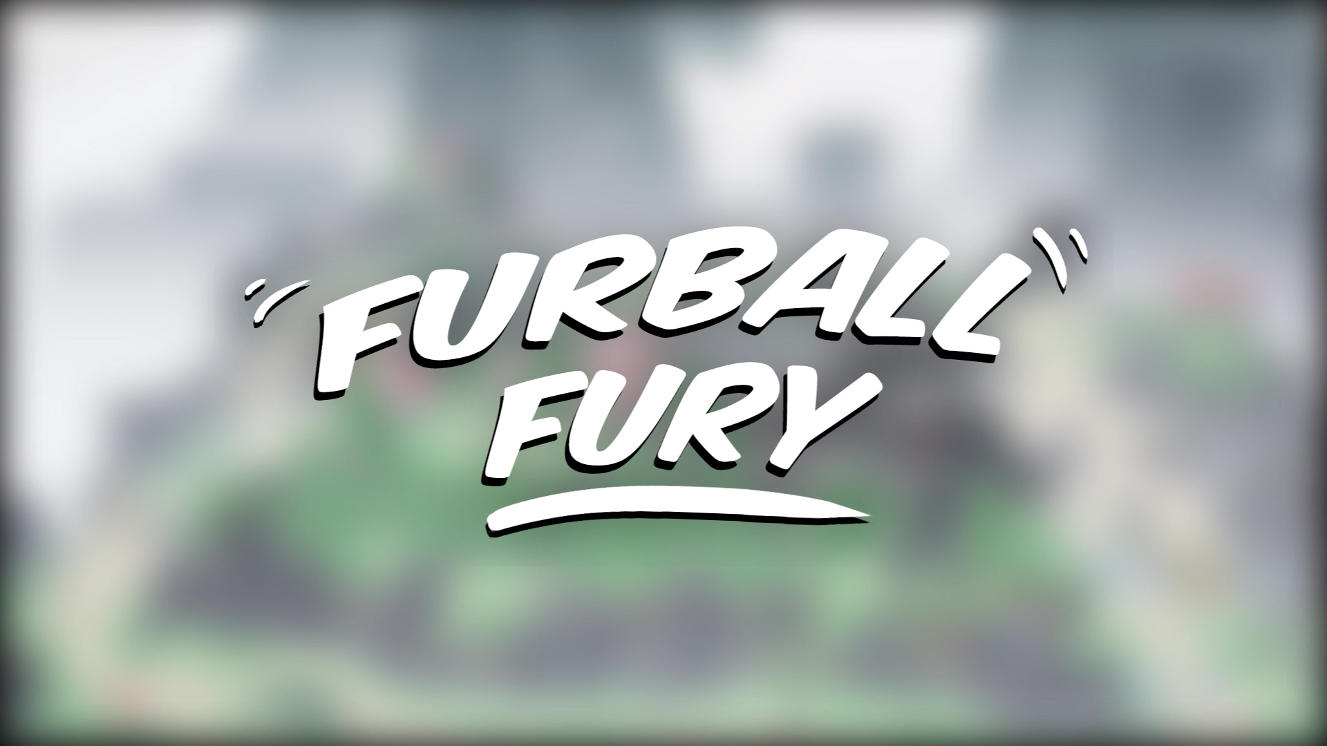 [Group17] Furball Fury