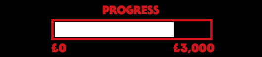 Progress Bar - £2,300 out of £3,000