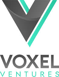Cover image for Voxel Venture