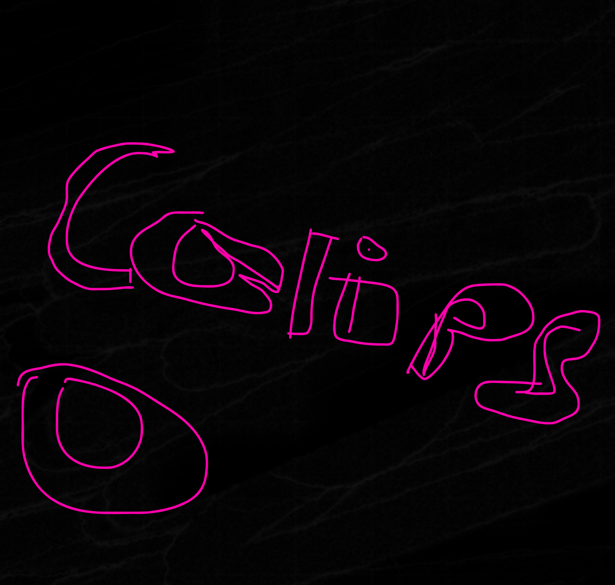 calypso taggers