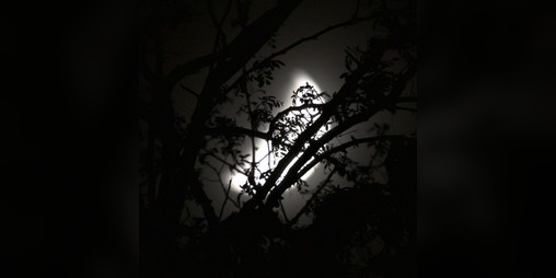 Cover image for Luna; or, an account of our worship