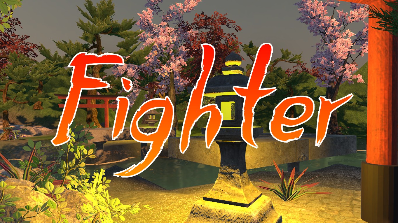 Fighter