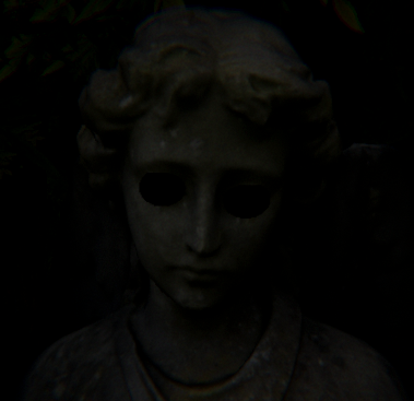 Forest of the Forgotten