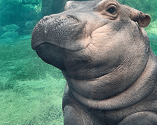 Zoo