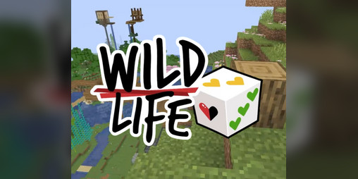 Cover image for The Wild Life Card Game