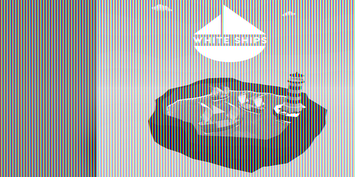 Cover image for White Ships