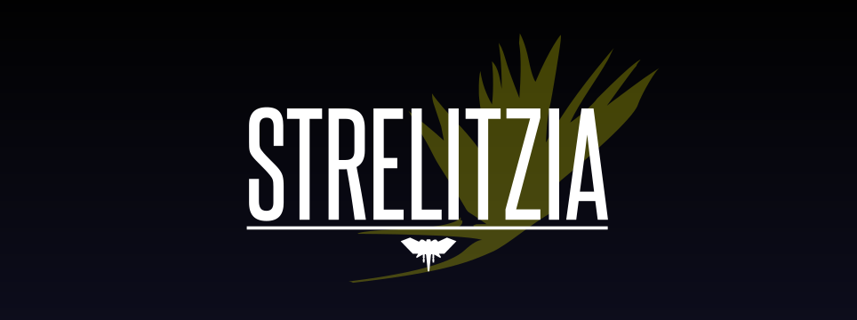 Strelitzia