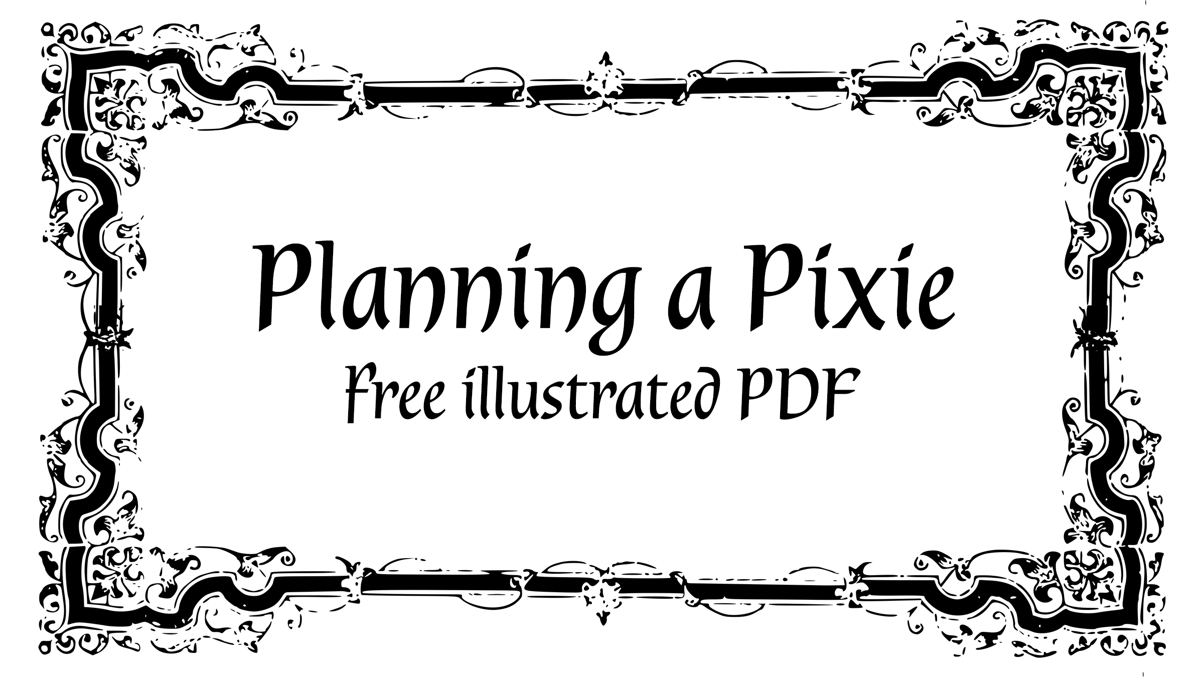 Cover image for Planning a Pixie