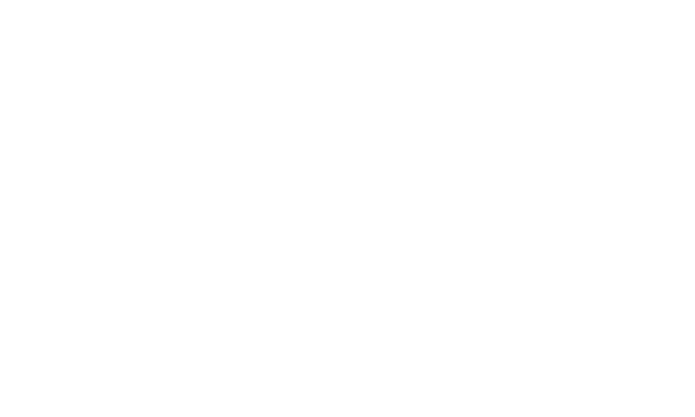 Meteorid