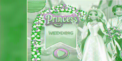 Cover image for Princess Wedding