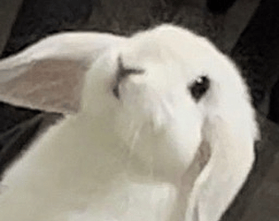 Gray Treatment, But fully animated