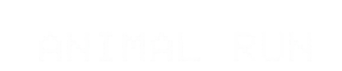 Animal Run