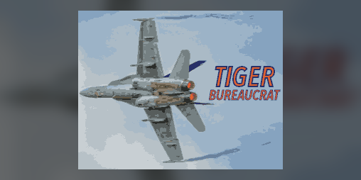Cover image for Tiger Bureaucrat