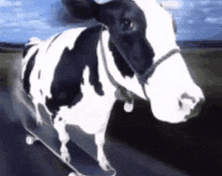 cowmilkandpoopoo