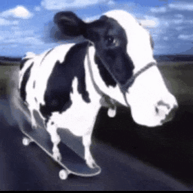 cowmilkandpoopoo