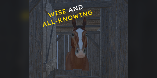 Cover image for The Wise and All-Knowing Horse
