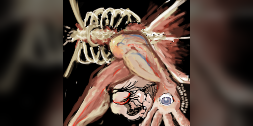 Cover image for The Human Shield