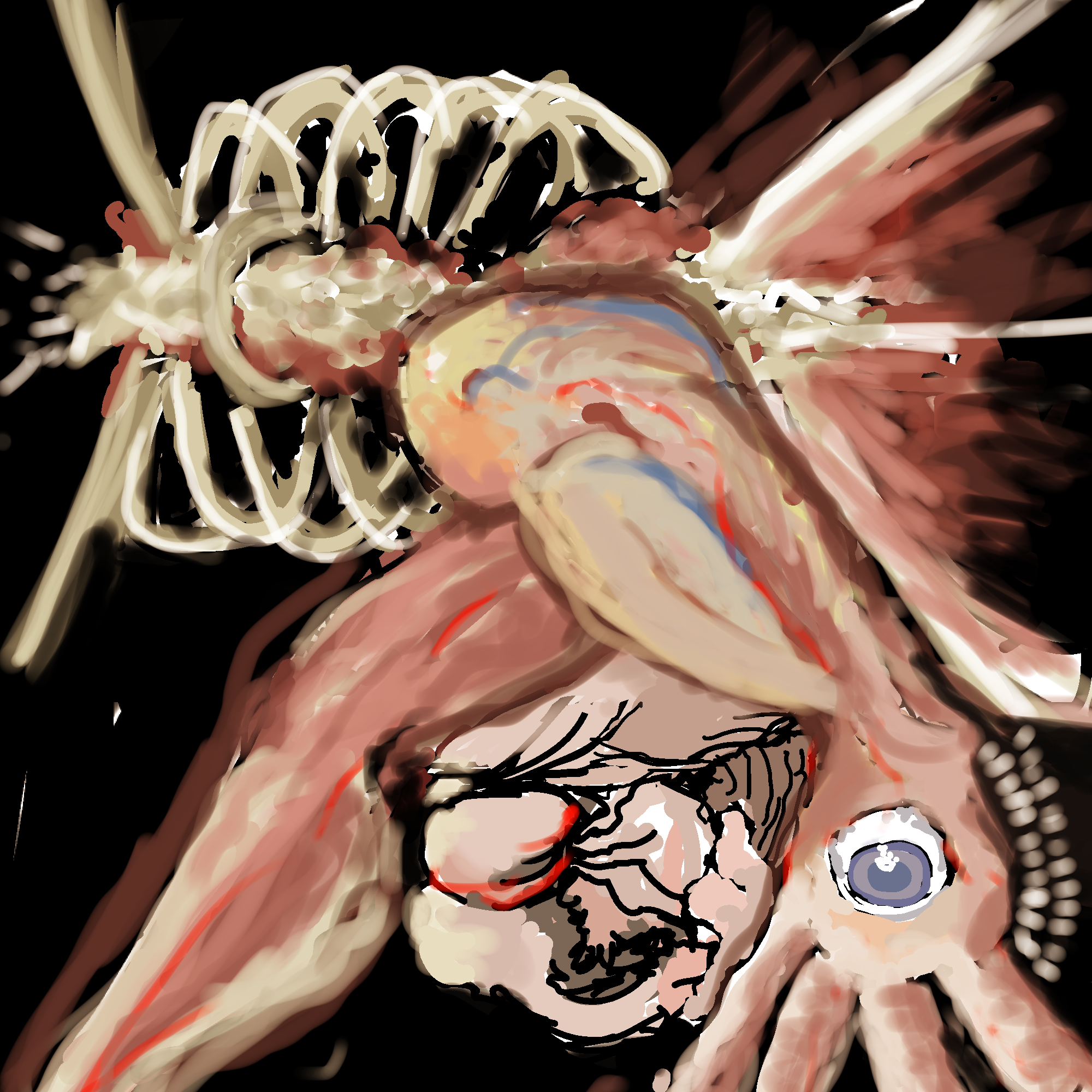 Cover image for The Human Shield