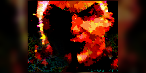 Cover image for Jaywalker