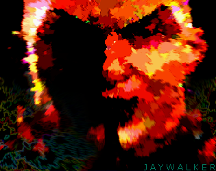 Jaywalker