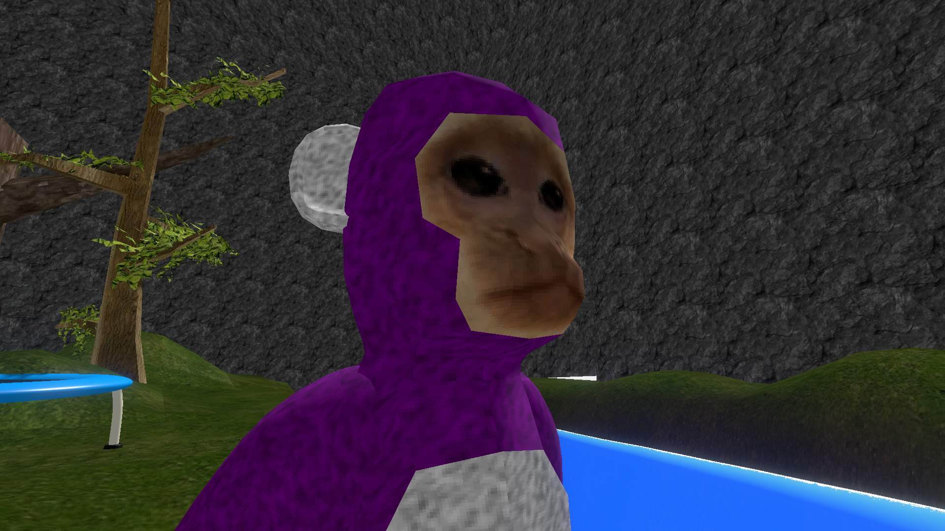 Funky Capuchin