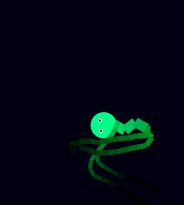 Jeff Seaweed Guy