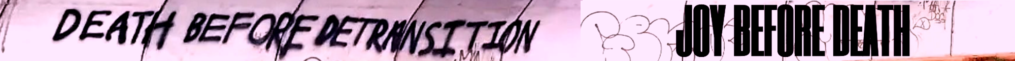 Death Before Detransition / Joy Before Death