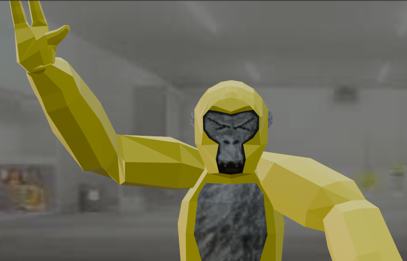 Monkey Training