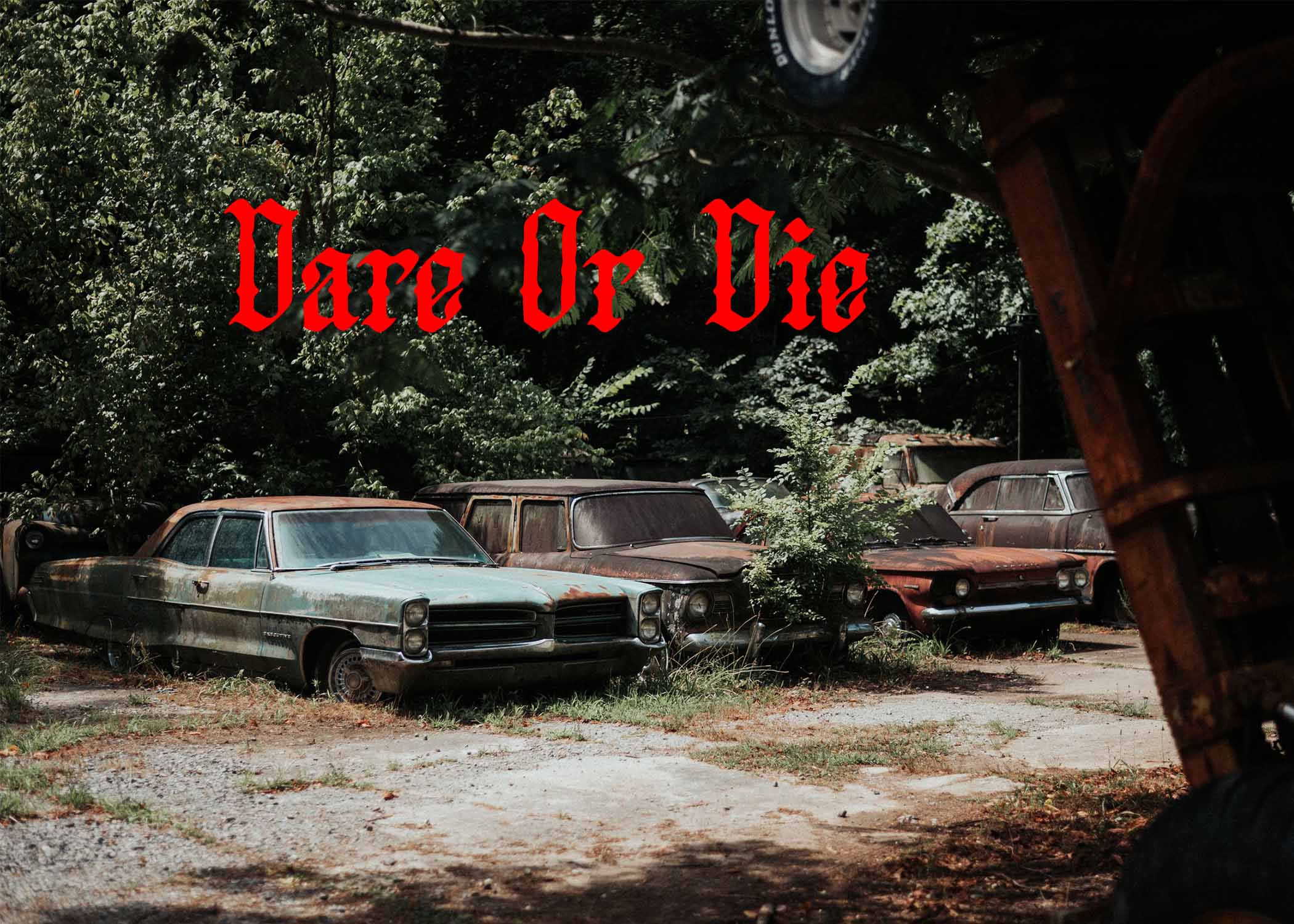Dare Or Die