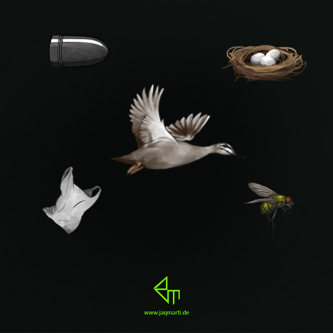 Fly to Freedom Asset Pack