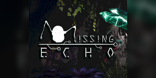 Cover image for Missing Echo