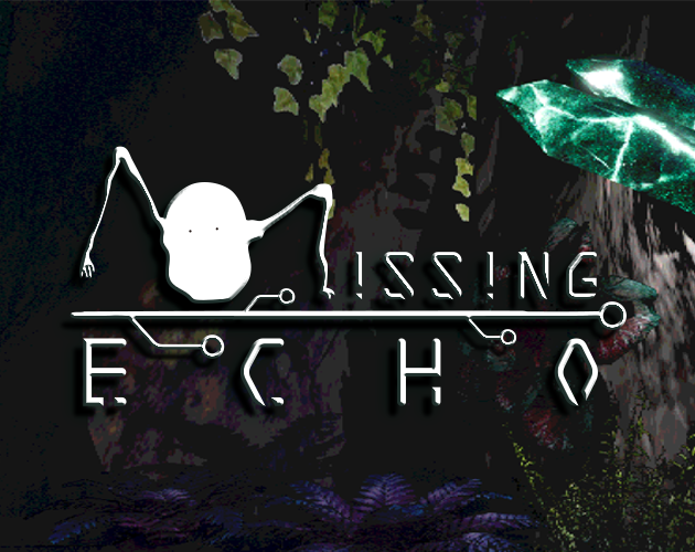 Cover image for Missing Echo