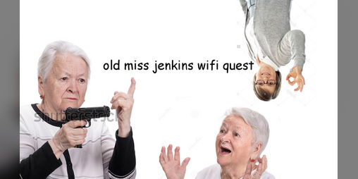Cover image for old miss jenkins wifi quest