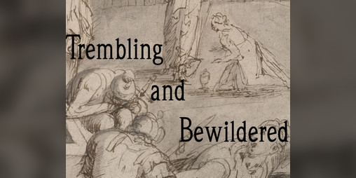 Cover image for Trembling and Bewildered