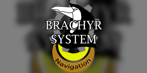 Cover image for Brachyr - The Everyman's Navigation
