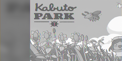 Cover image for Kabuto Park