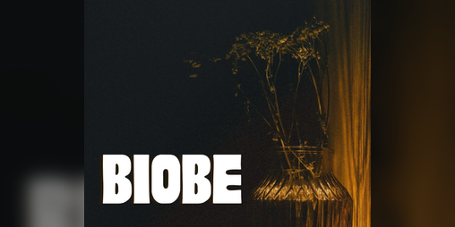 Cover image for Biobe