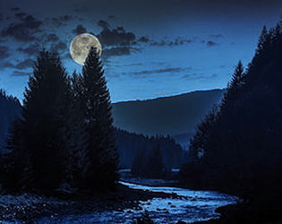 Wolfe Creek